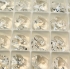 Picture of Swarovski 6228 Xilion Heart Pendant 10mm Crystal x1
