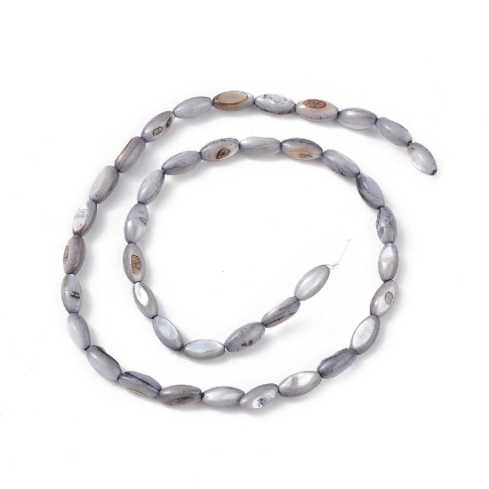 Picture of Shell Beads 9x5mm horseye Seashell Grey x38cm
