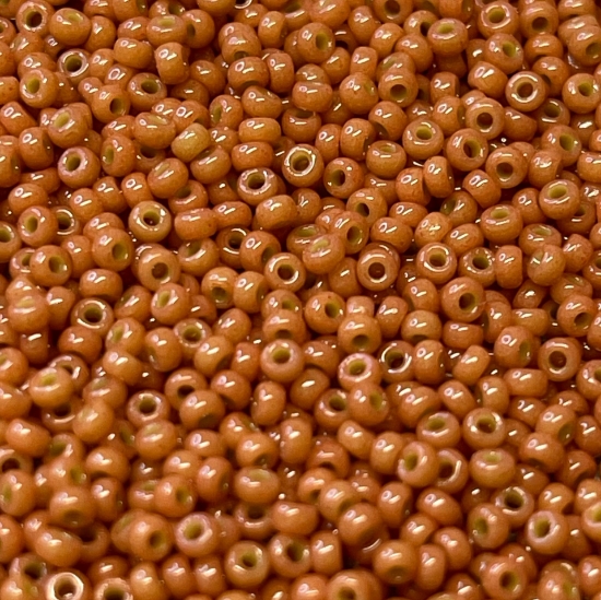 Picture of Miyuki Rocaille 8/0 4457 Duracoat Opaque Cedar x10g