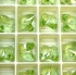 Picture of Swarovski 5754 Butterfly bead 10mm Peridot x1