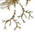Picture of Pendant Branch 32mm 18kt Gold Plated x1