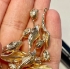 Picture of Pendant Tulip 39mm 18kt Gold Plated x1