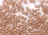 Picture of Fire-Polished 3mm Crystal Teracota Red x100