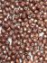 Picture of Fire-Polished 3mm Saturated Metallic Autumn Maple x100