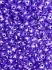 Picture of Preciosa Twin Beads 2.5x5mm Lilac Pearl x10g