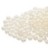 Picture of Czech Seed Beads 11/0 Pearl Ceylon x10g