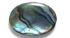 Picture of Cabochon Abalone (natural) shell oval 18x13mm x1