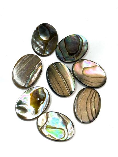 Picture of Cabochon Abalone (natural) shell oval 18x13mm x1