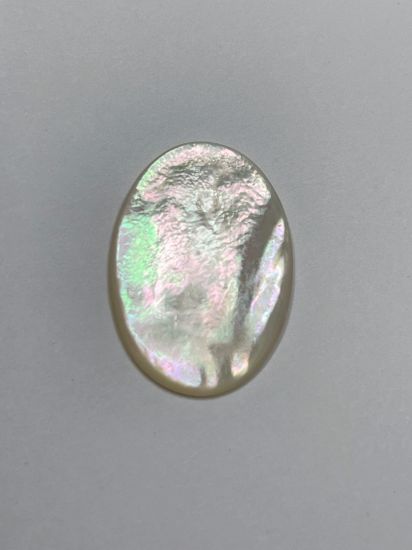 Picture of Cabochon mother-of-pearl shell (bleached) 23x16mm oval x1