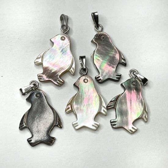 Picture of Pendant Shell 20mm "Sea Lion"  x1