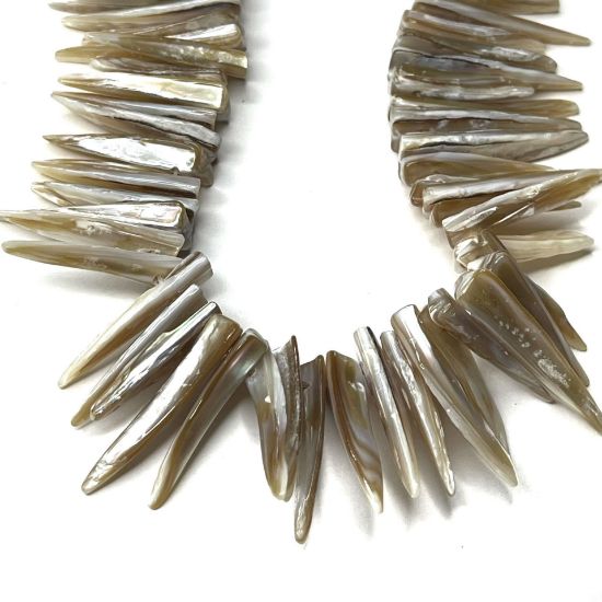 Picture of Mother-of-Pearl Shell 22x6mm-35x10mm top-drilled fringe x38cm