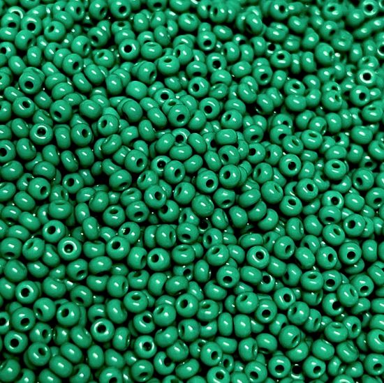 Picture of Czech Seed Beads 11/0 Opaque Forest Green x10g