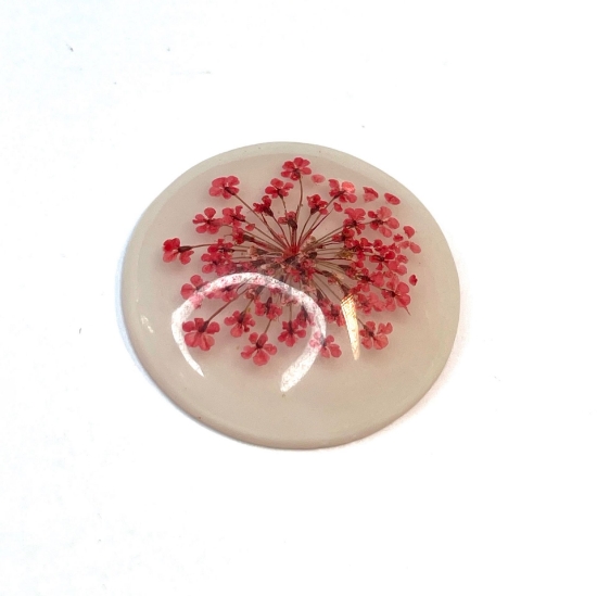 Picture of Resin Cabochon 30mm round Dried Flowers White x1