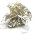 Picture of Organza Pouch Round 26cm Gold/Silver x10 