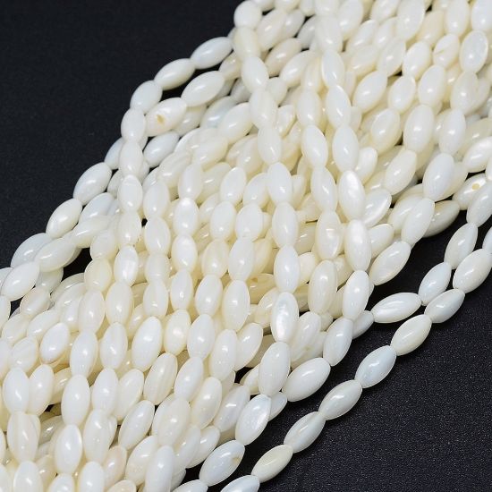 Picture of Shell Beads 8x4mm oval White x40cm
