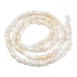 Picture of Pearl Cultured Freshwater Bead 2.5~5x2.5~3.5mm rice x34cm