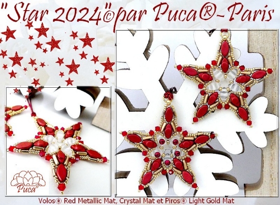Picture of « Star 2024 » © par PUCA® – Instant Download or Printed Copy