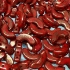Picture of Arcos® by Puca® 5x10 mm Opaque Coral Red Bronze x10g