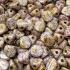 Picture of Ilos® par Puca® 5x5mm Opaque Mix Rose Gold Ceramic Look x10g