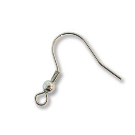Picture of Stainless Steel Ear Wire 22mm x10