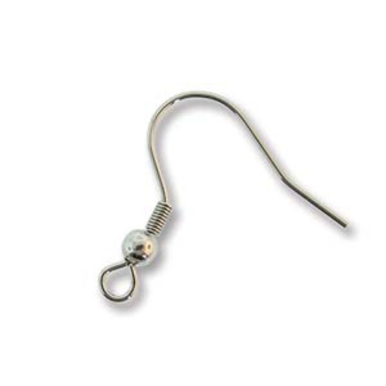 Bild von Stainless Steel Earwire 22mm x20