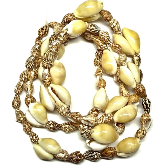 Picture of Sea Shell Beads Mix x90cm
