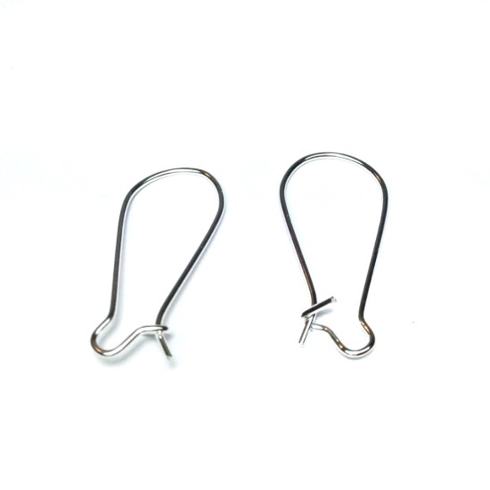 Bild von Earwire Kidney 24mm Silver x100