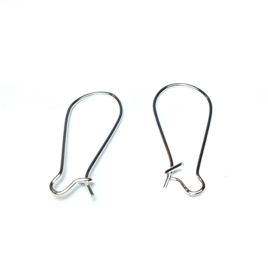 Picture of Earwire Kidney 24mm Silver x20