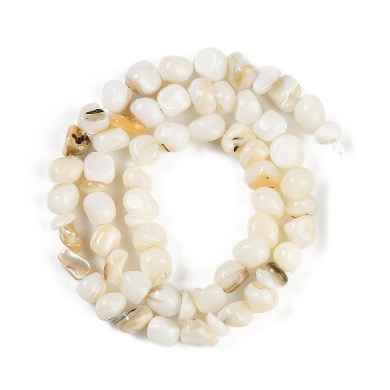 Picture of Shell Beads Nuggets x38cm