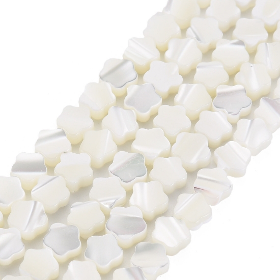 Picture of Trochus Shell Beads 6mm flower White x20cm