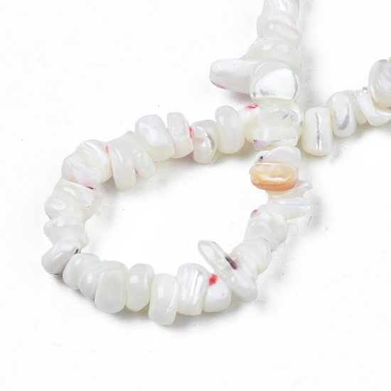 Picture of Freshwater Shell Beads Chips White x38cm