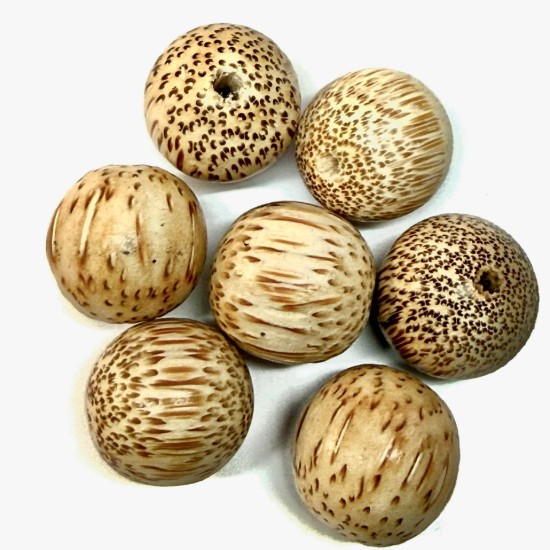 Image de Palm Wood Bead 25mm x5