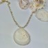 Afbeeldingen van Shell Mix Large Pendant Mix x5