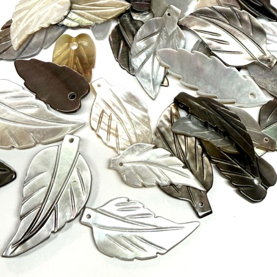 Afbeeldingen van Black and Golden Lip Shell Leaf Mix x10