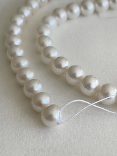 Afbeeldingen van Premium Pearl Freshwater White Lotus 8-8.5mm round White x40cm