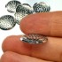 Picture of Sieve 19mm Silver x5