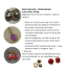 Bild von KIT - "Premium Earrings " HobbyFeast Exclusive x1