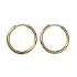 Bild von Stainless Steel Hoop 20x2mm 18kt Gold Plated x2
