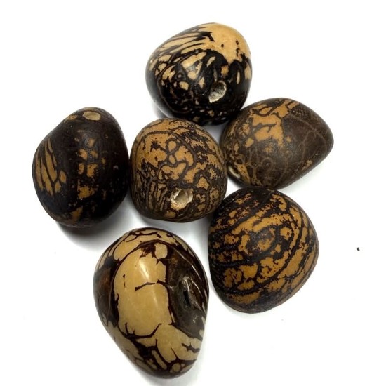 Изображение Tagua Nuts bead 32-35mm x1
