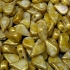 Picture of Amos® par Puca® 5x8mm Opaque Beige Spotted x10g